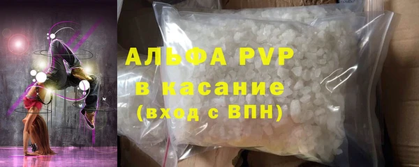 стаф Белокуриха