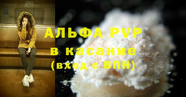 стаф Белокуриха