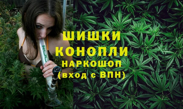 стаф Белокуриха